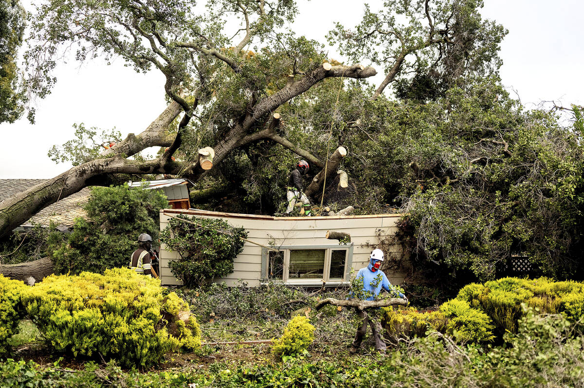 Workers clear a tree that fell onto a home during heavy wind and rain on Sunday, Feb. 4, 2024, ...