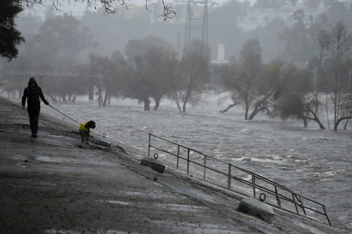 A man walks his dog on the edge of the Los Angeles River, carrying stormwater downstream Sunday ...