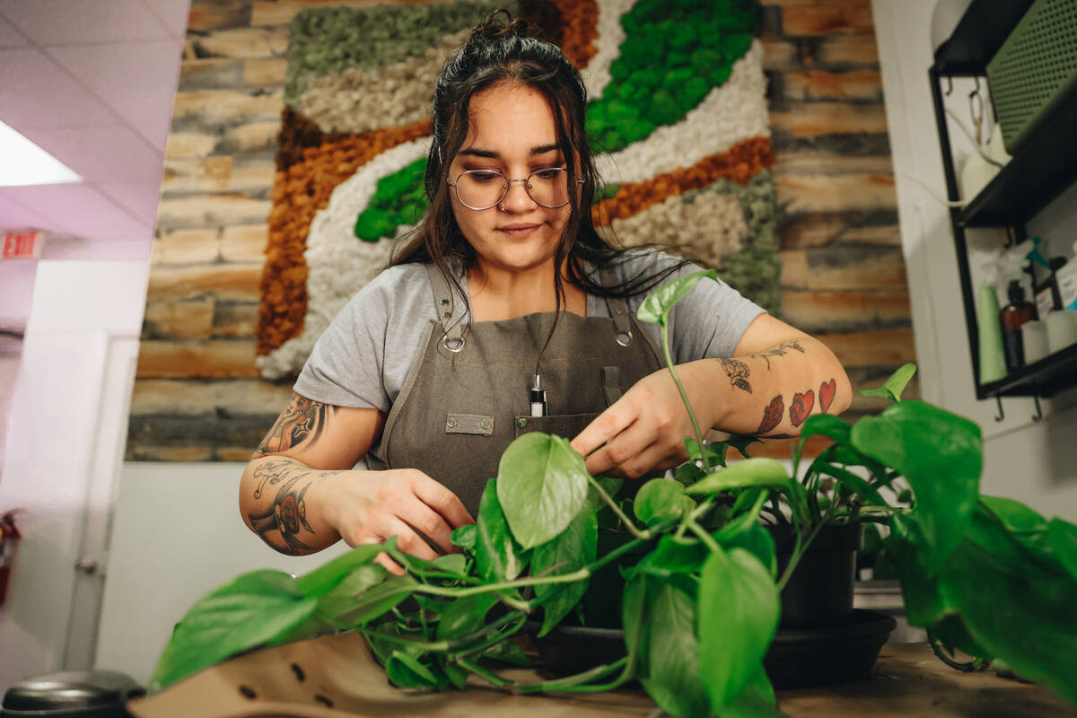 Store clerk Jenna Smith takes care of a plant at Rooting For You on Friday, Feb. 16, 2024, in L ...