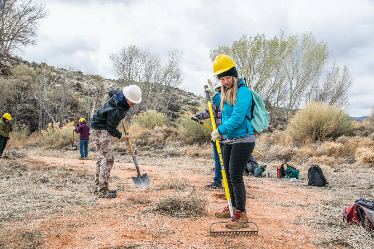 Two students participate in a stewardship activity on an Alternative Spring Break trip. (Friend ...
