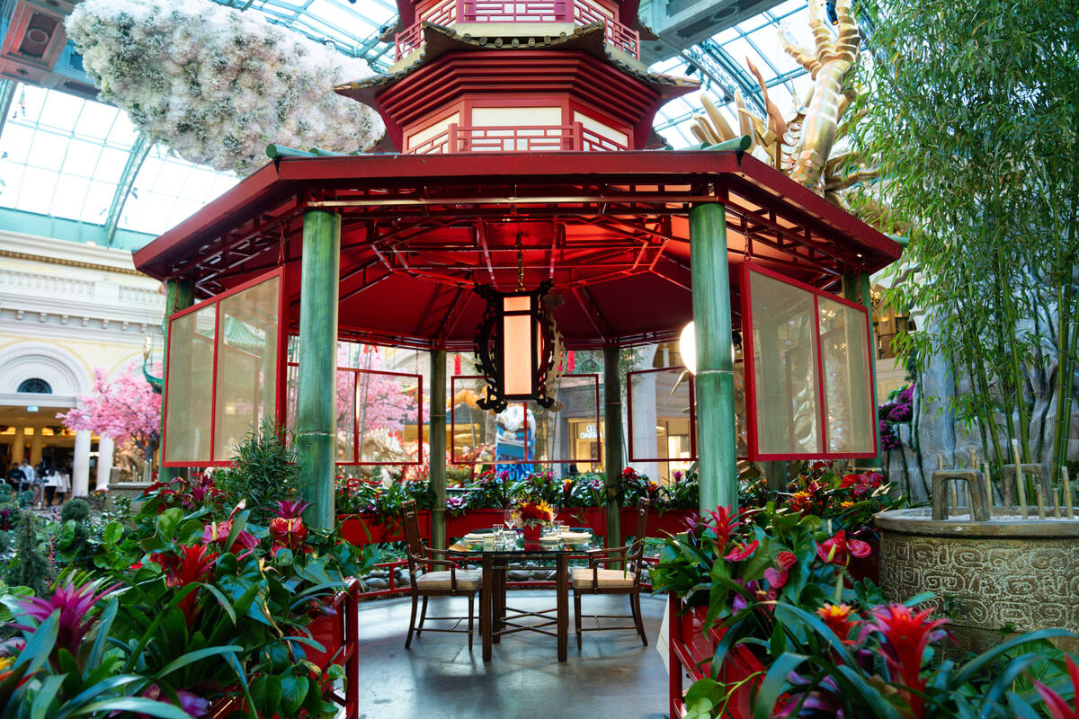 For Chinese New Year 2024, The Garden Table in the Bellagio Conservatory & Botanical Gardens, o ...