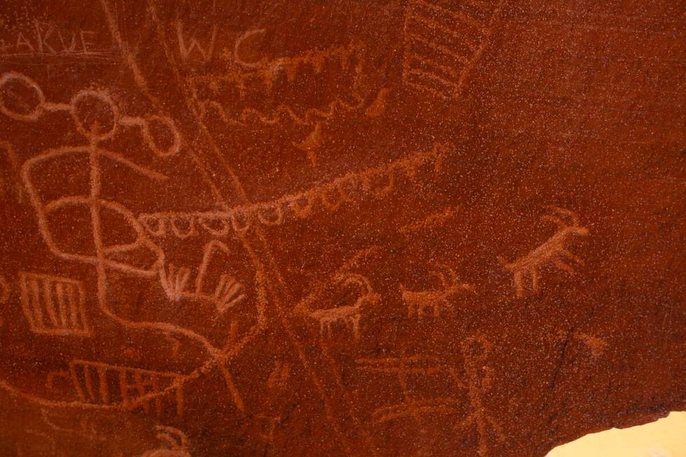 Petroglyphs depicting bighorn sheep are seen at Atlatl Rock in Valley of Fire State Park on Tue ...