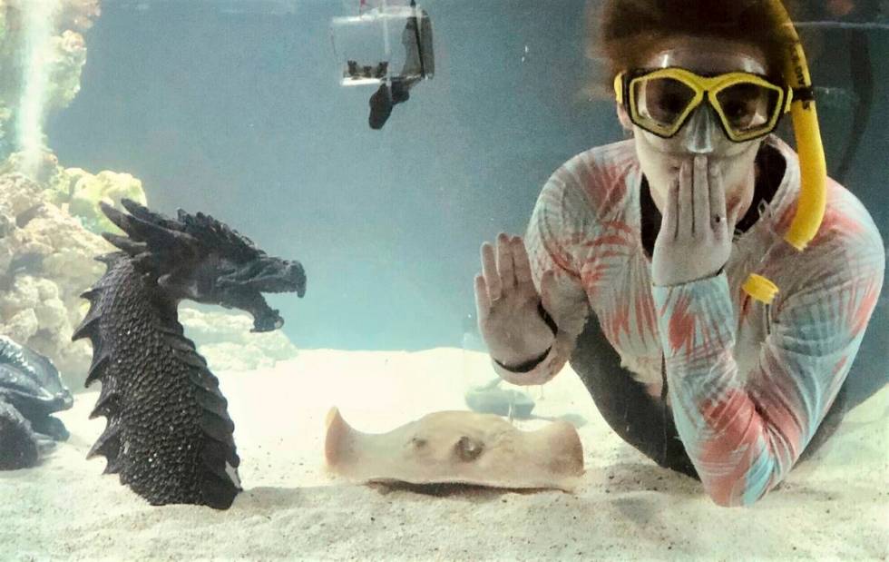 Kinsley Boyette, assistant director of the Aquarium and Shark Lab by Team ECCO, poses in this u ...