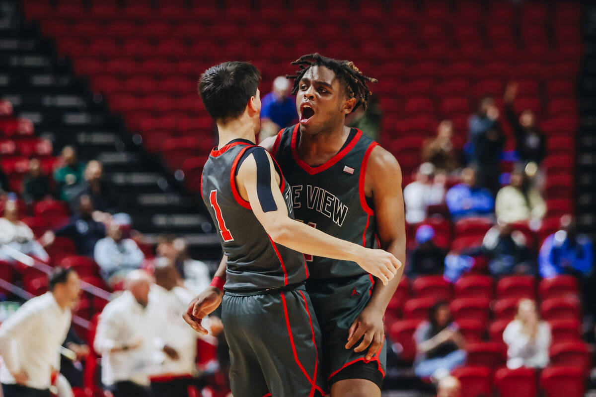 Arbor View small forward Brian Townsend (11) reacts as his teammate ties the game with less tha ...
