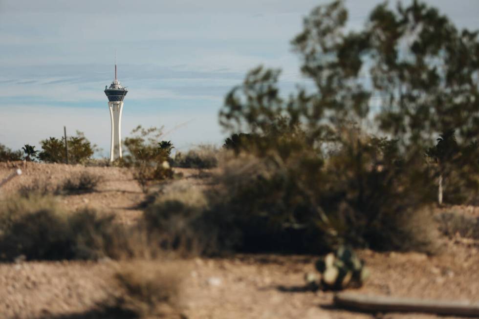The Strat is seen from Springs Preserve on Saturday, Feb. 24, 2024, in Las Vegas. (Madeline Car ...