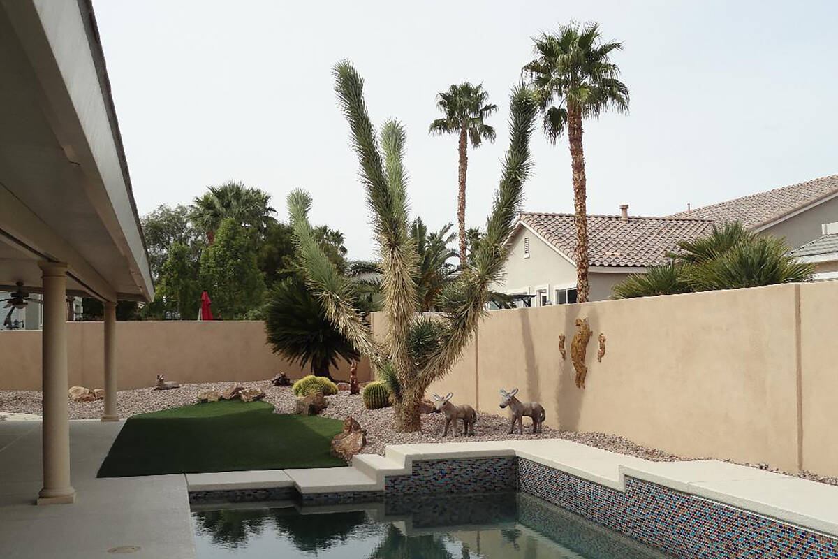 A Joshua tree that was watered too often. Watering these plants three or four times each year i ...