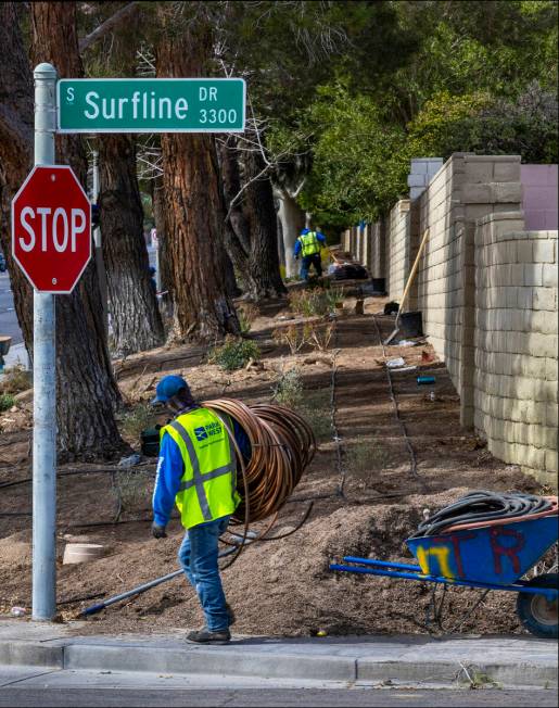 With grass removed, a crew from Park West lays down irrigation lines for a new desert landscapi ...