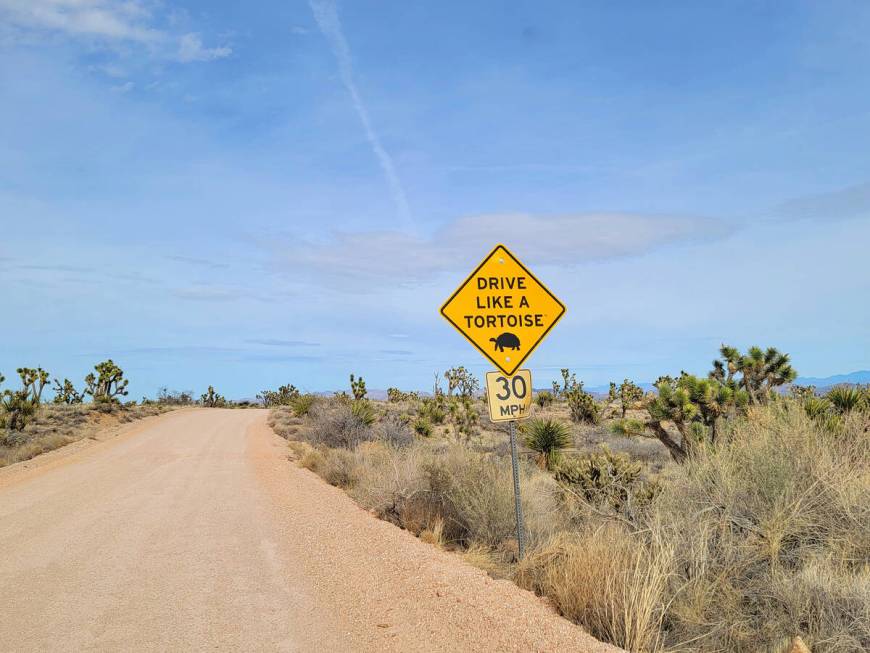 A road sign advocates cautious driving along Walking Box Ranch Road in Avi Kwa Ame National Mon ...