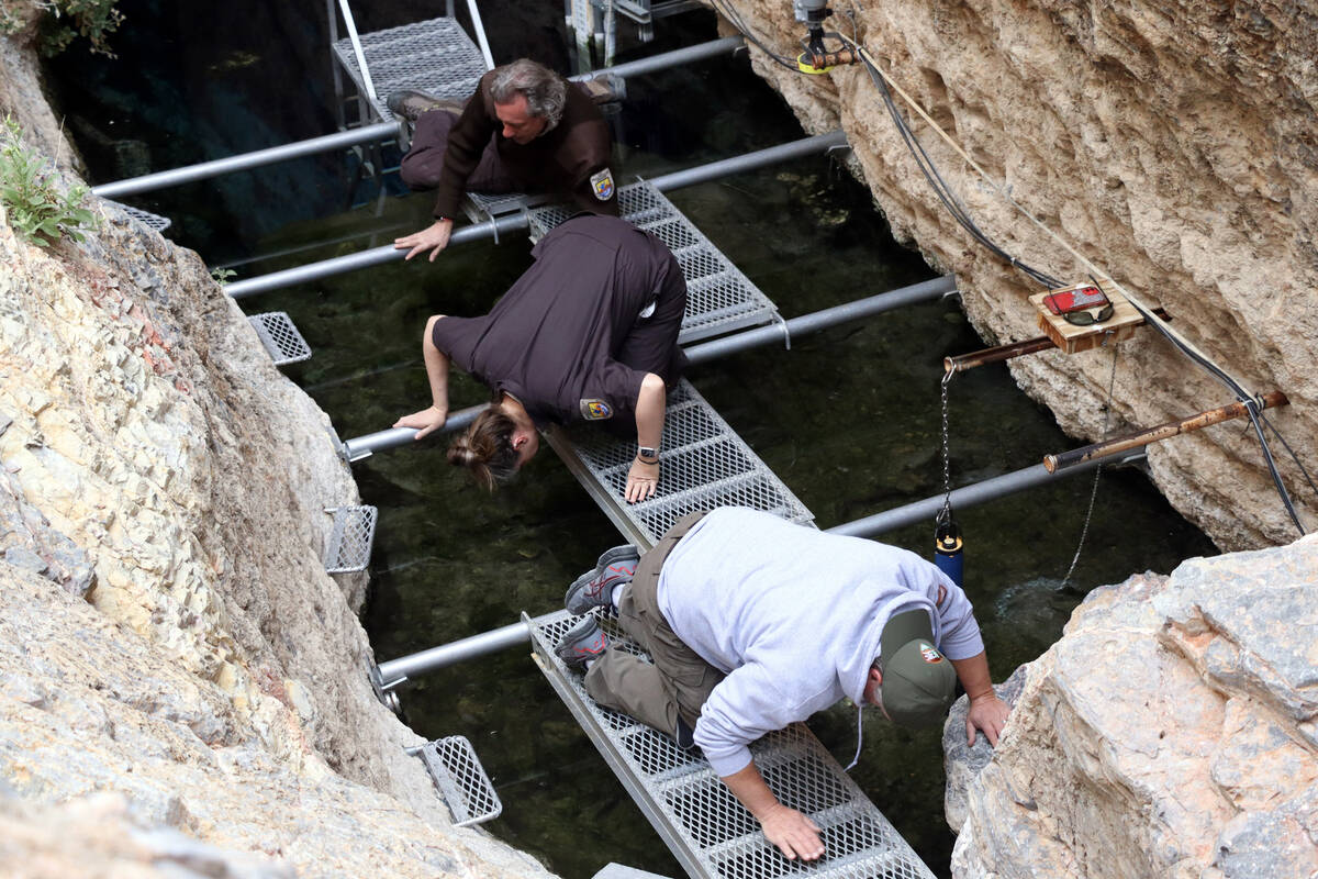 U.S. Fish and Wildlife Service and National Park Service biologists count pupfish visible at th ...