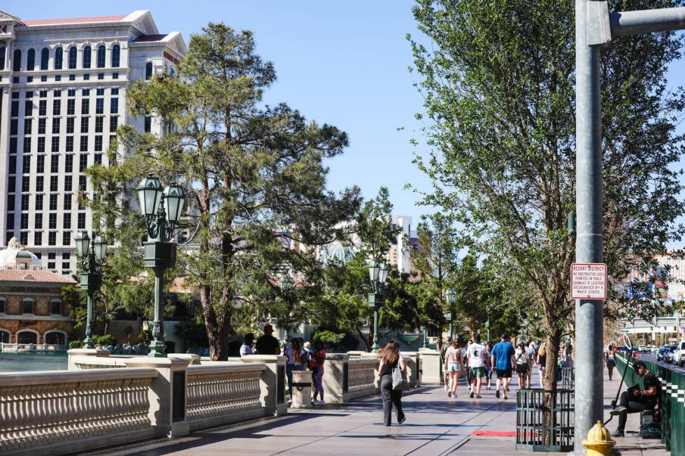 Trees in front of the Bellagio hotel-casino on the Strip in Las Vegas, Thursday, April 11, 2024 ...