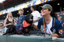 Finn the Bat Dog poses with fans on the night of his retirement as the Las Vegas Aviators&#x201 ...