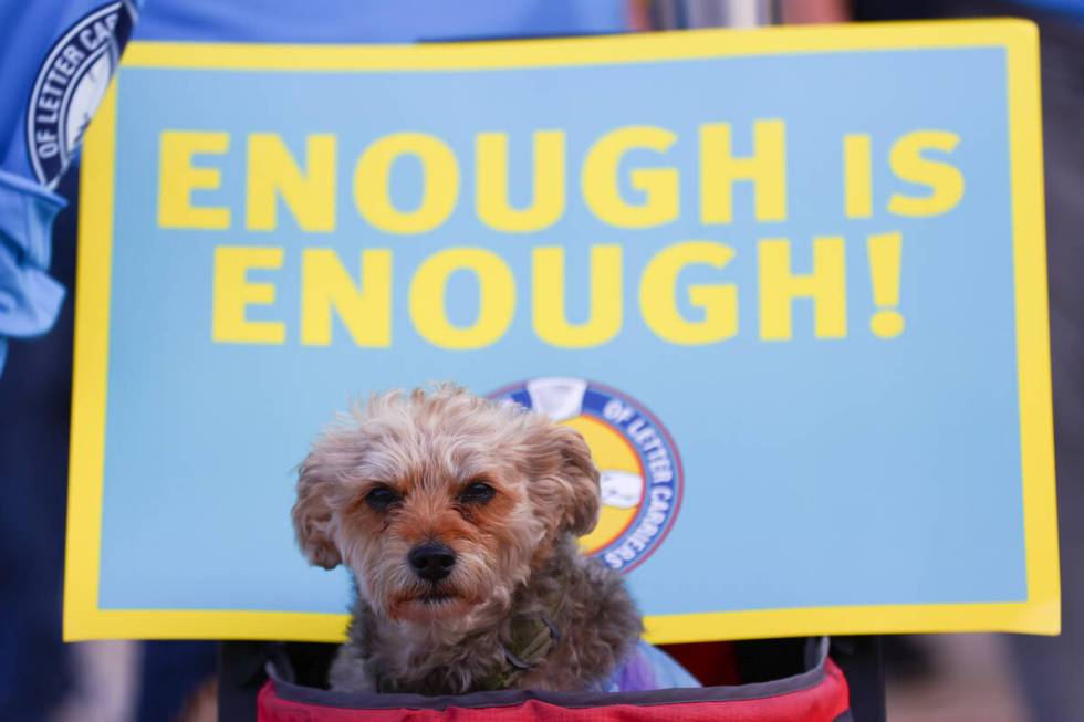 Bambino attends a National Association of Letter Carriers rally outside the Lloyd D. George Cou ...