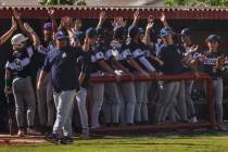 Shadow Ridge players celebrate during a high school baseball game between Las Vegas and Shadow ...