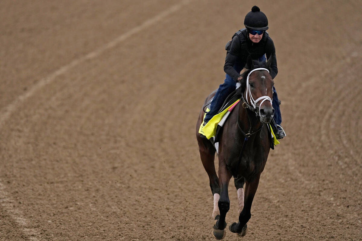 Kentucky Derby hopeful Fierceness works out at Churchill Downs Tuesday, April 30, 2024, in Loui ...