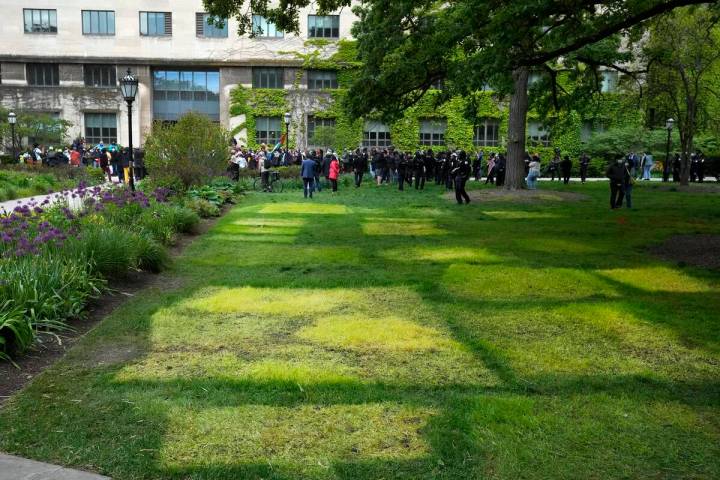 Pro-Palestinian protesters return to the University of Chicago's quad outside Levi Hall as as a ...