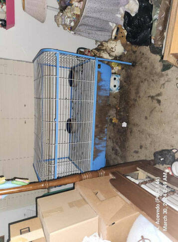 Photos provided by Clark County Animal Protection Services show the inside of Carolyn Luke's ho ...