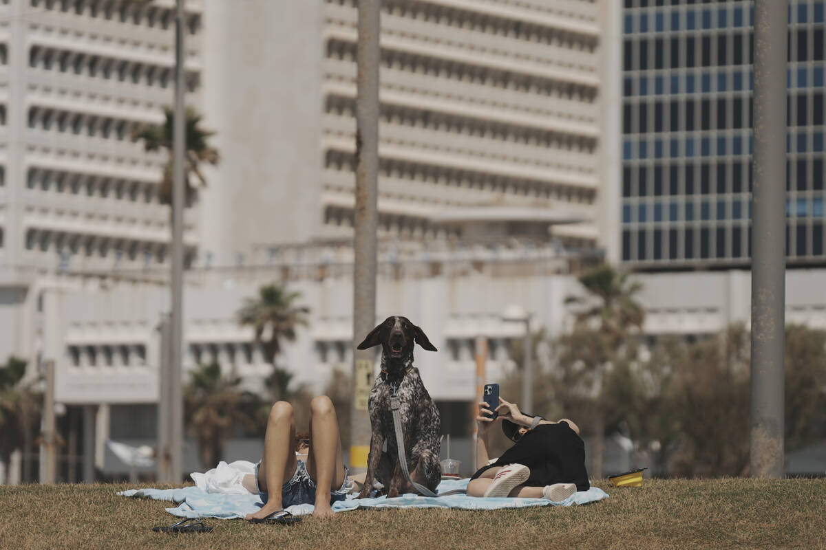 People lie on the grass with their dog during Israel's Independence Day celebrations at a park ...