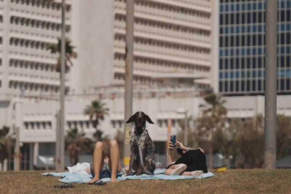 People lie on the grass with their dog during Israel's Independence Day celebrations at a park ...