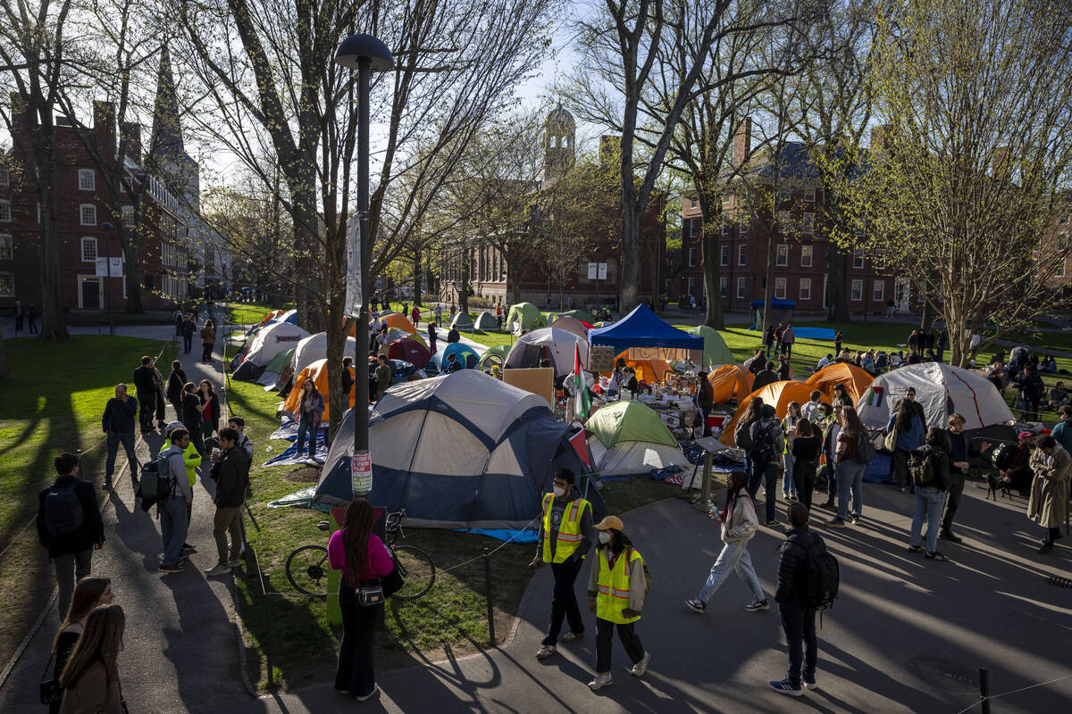 FILE - Students protesting against the war in Gaza, and passersby walking through Harvard Yard, ...
