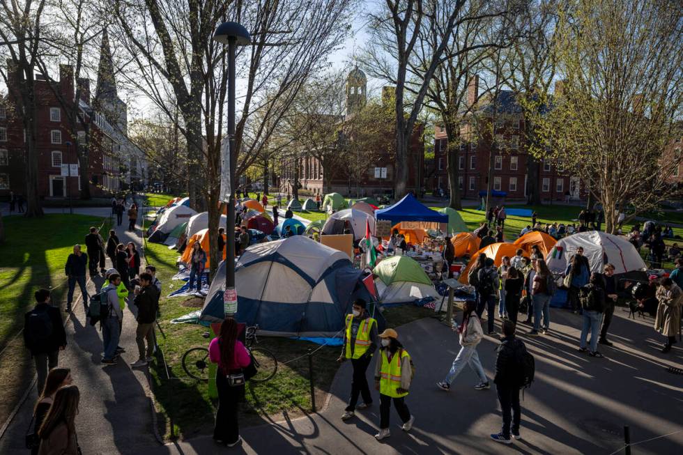 FILE - Students protesting against the war in Gaza, and passersby walking through Harvard Yard, ...