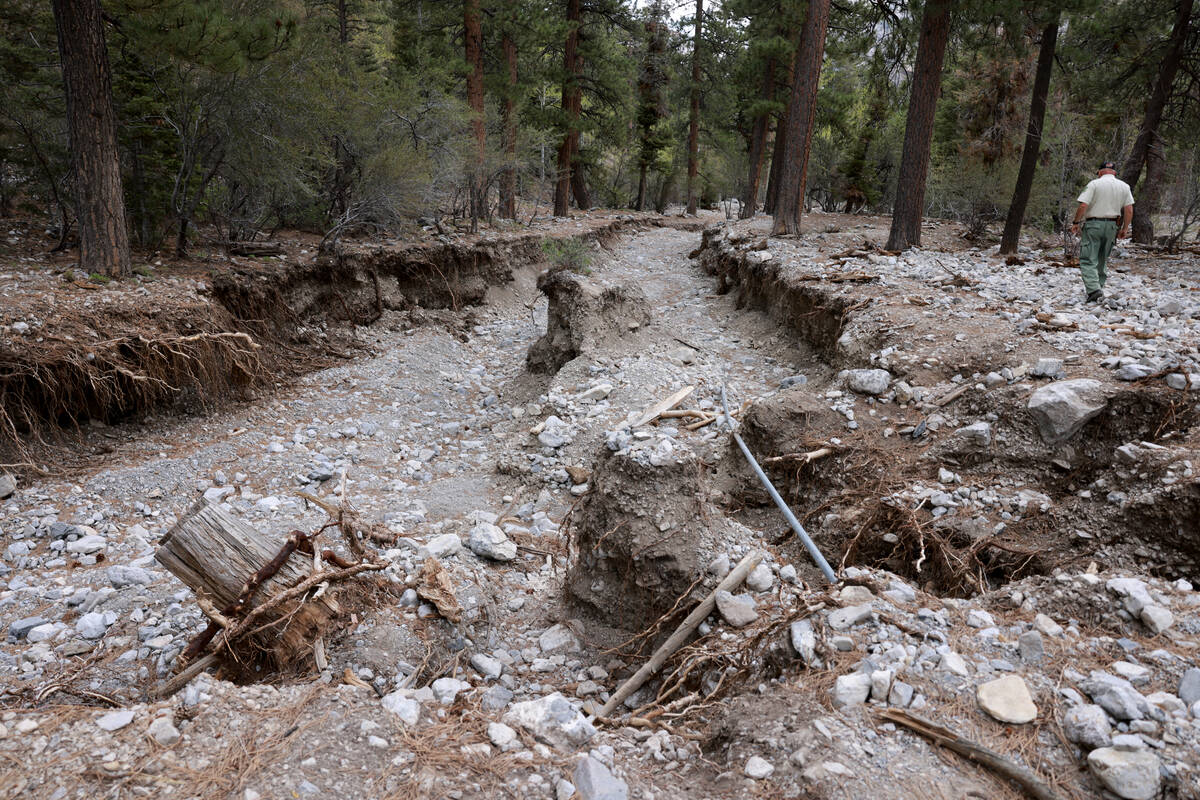 Ray Johnson, U.S. Forest Service fire prevention technician, leads a media tour at the Mary Jan ...