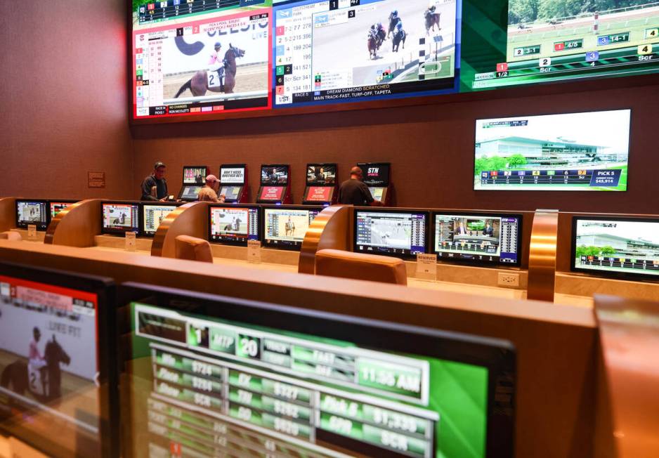 The newly renovated STN Sportsbook at Sunset Station hotel-casino in Henderson, Thursday, May 1 ...