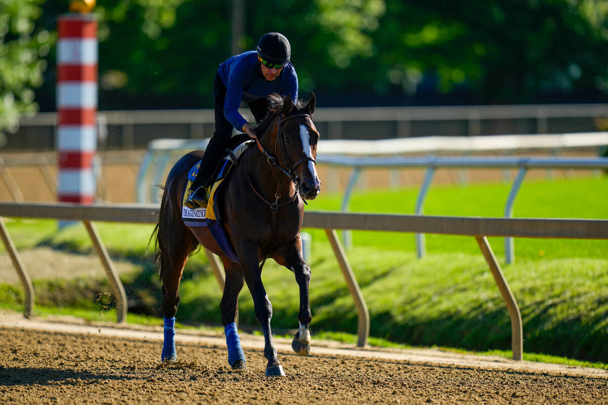Preakness Stakes entrant Imagination works out ahead of the 149th running of the Preakness Stak ...