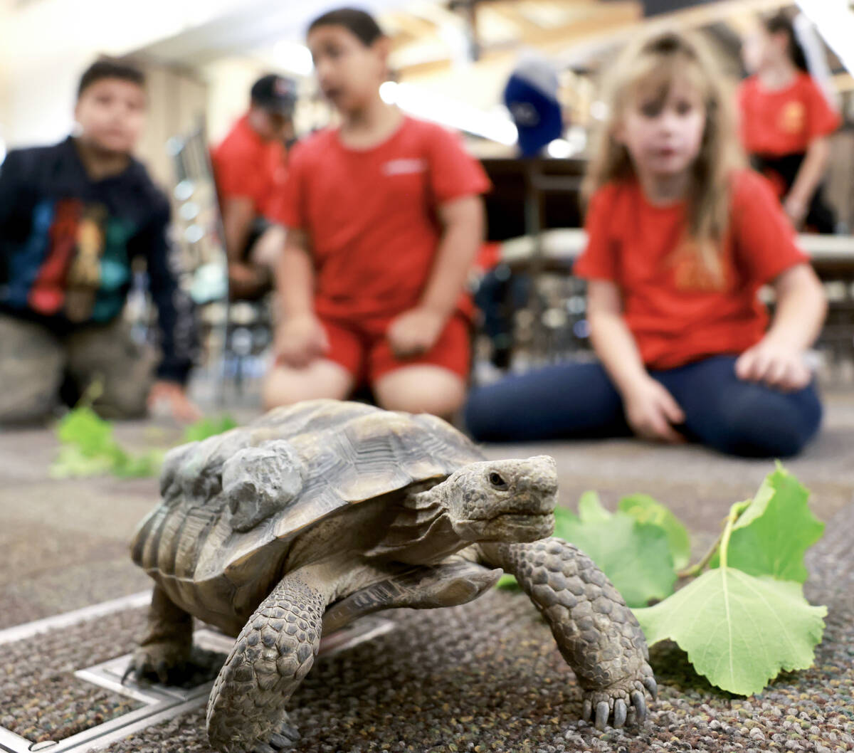 Goldfarb Elementary School students check out Mojave Max during a field trip at the Springs Pre ...