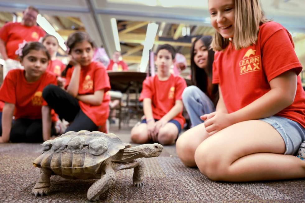 Goldfarb Elementary School students, including contest winner Keira S., right, check out Mojave ...