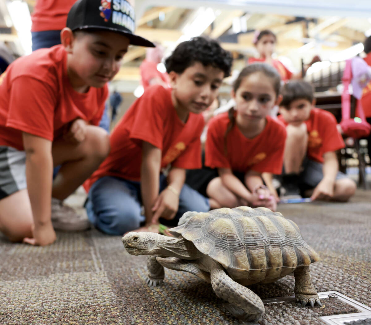 Goldfarb Elementary School students check out Mojave Max during a field trip at the Springs Pre ...