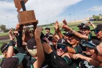 Palo Verde celebrates with their trophy after winning a Class 5A baseball state title game agai ...