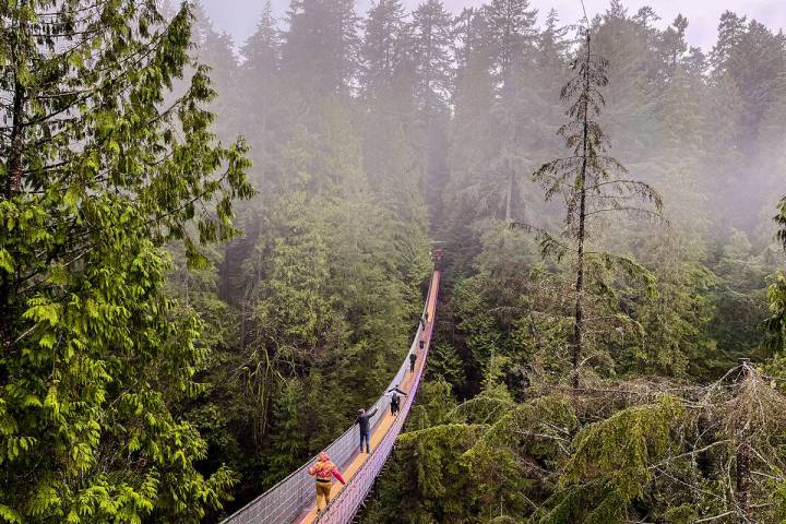 Capilano Suspension Bridge Park, Vancouver. (Christopher Reynolds/Los Angeles Times/TNS)