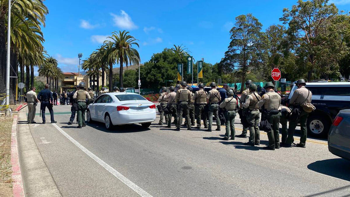 Sheriff's deputies in riot helmets assemble as backup while eight pro-Palestine protesters who ...