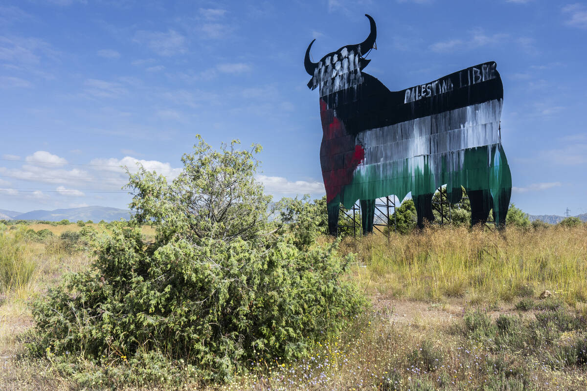 A Spanish fighting bull billboard, is painted with the colours of the Palestinian flag and a wr ...