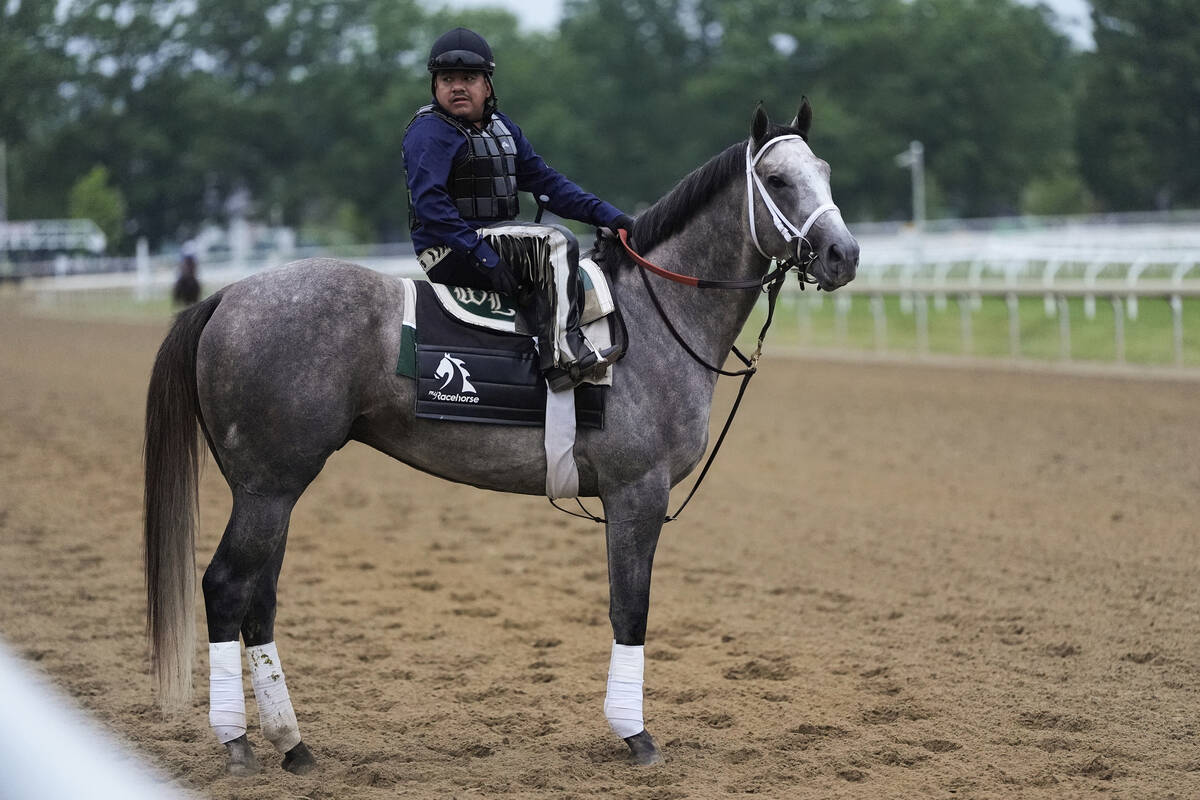 Preakness Stakes winner and Belmont Stakes entrant Seize the Grey stands on the track ahead of ...