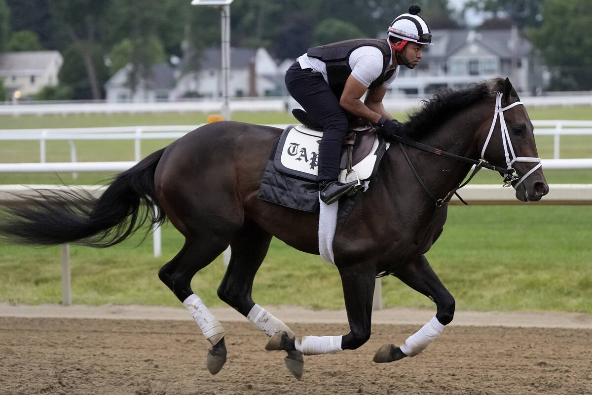 Belmont Stakes entrant Mindframe works out ahead of the 156th running of the Belmont Stakes hor ...