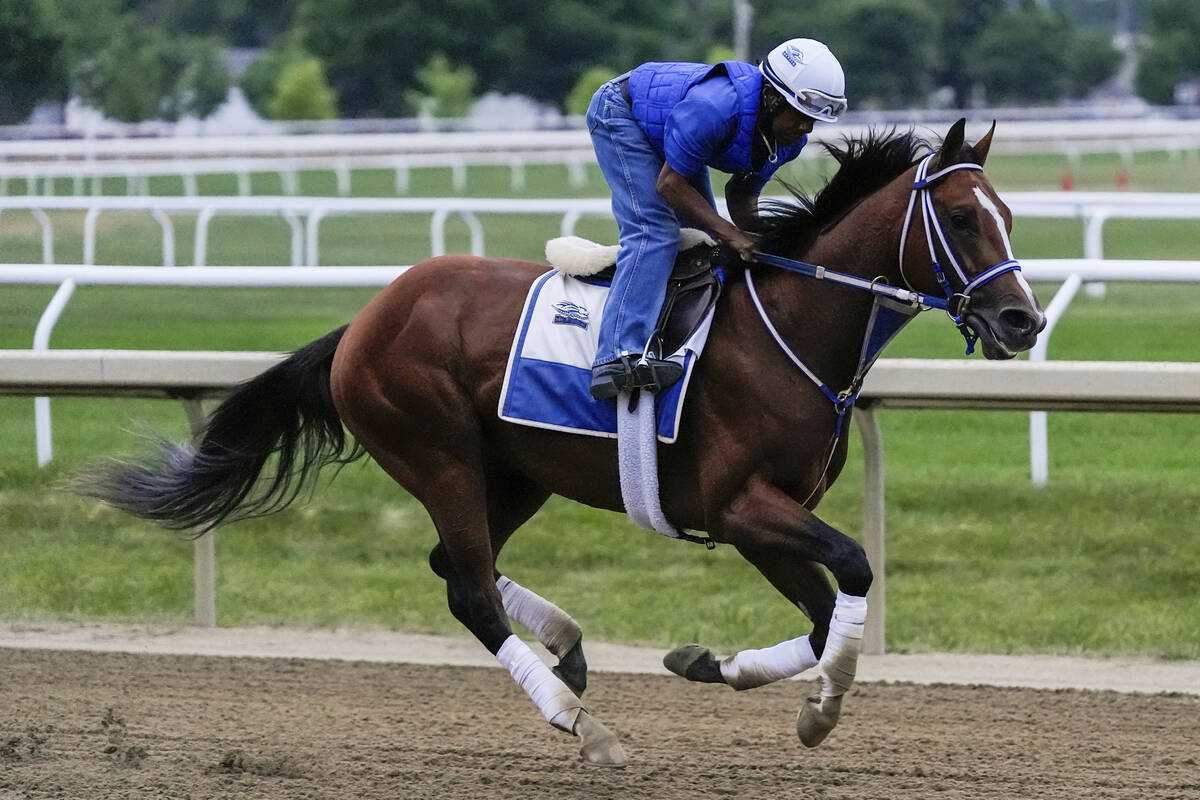 Kentucky Derby winner and Belmont Stakes entrant Mystik Dan works out ahead of the 156th runnin ...
