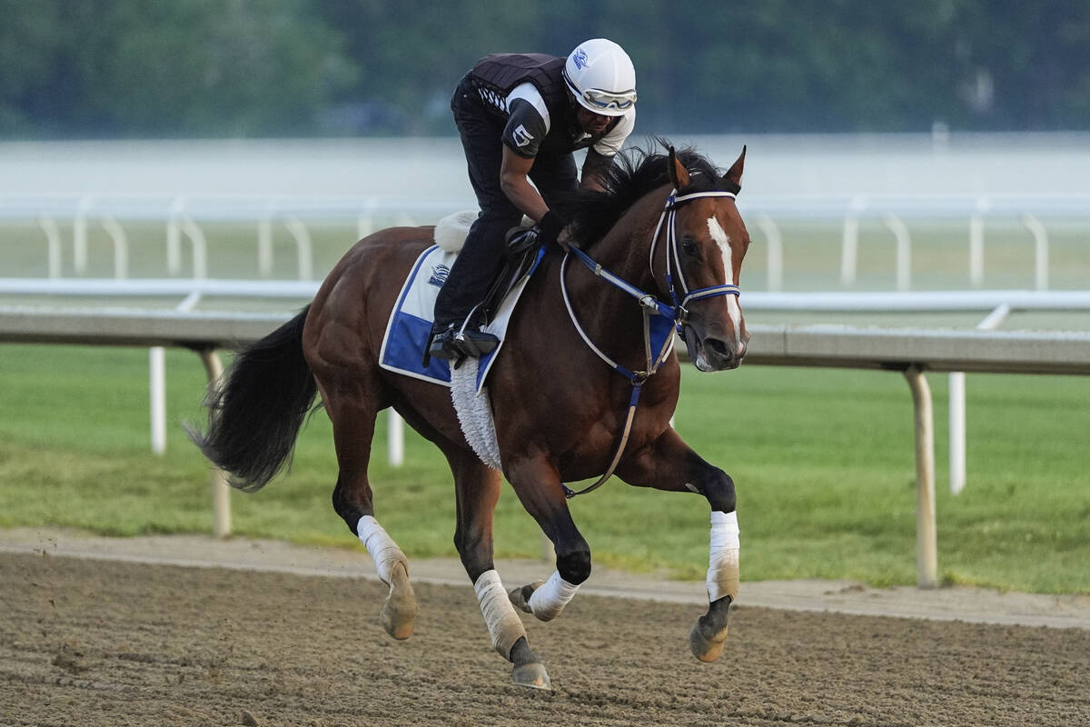 Kentucky Derby winner and Belmont Stakes entrant Mystik Dan works out ahead of the 156th runnin ...