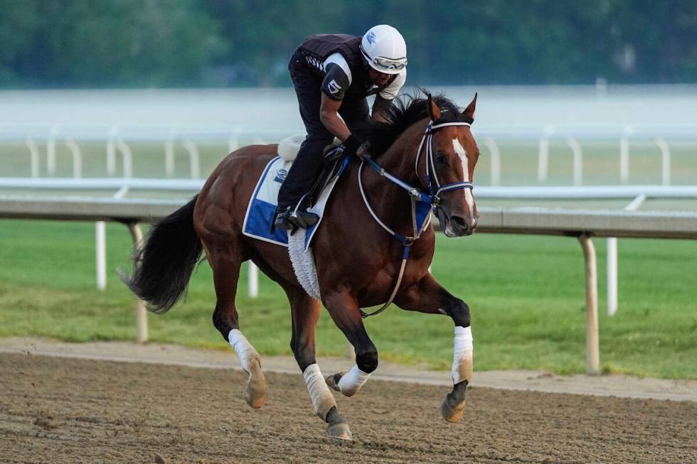 Kentucky Derby winner and Belmont Stakes entrant Mystik Dan works out ahead of the 156th runnin ...