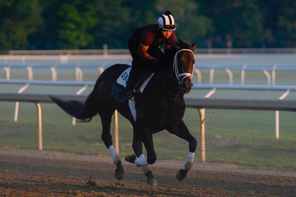 Belmont Stakes entrant Mindframe works out ahead of the 156th running of the Belmont Stakes hor ...