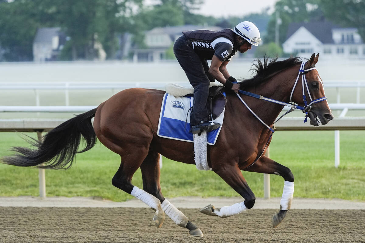 Kentucky Derby winner and Belmont Stakes entrant Mystik Dan works out ahead of the 156th runnin ...