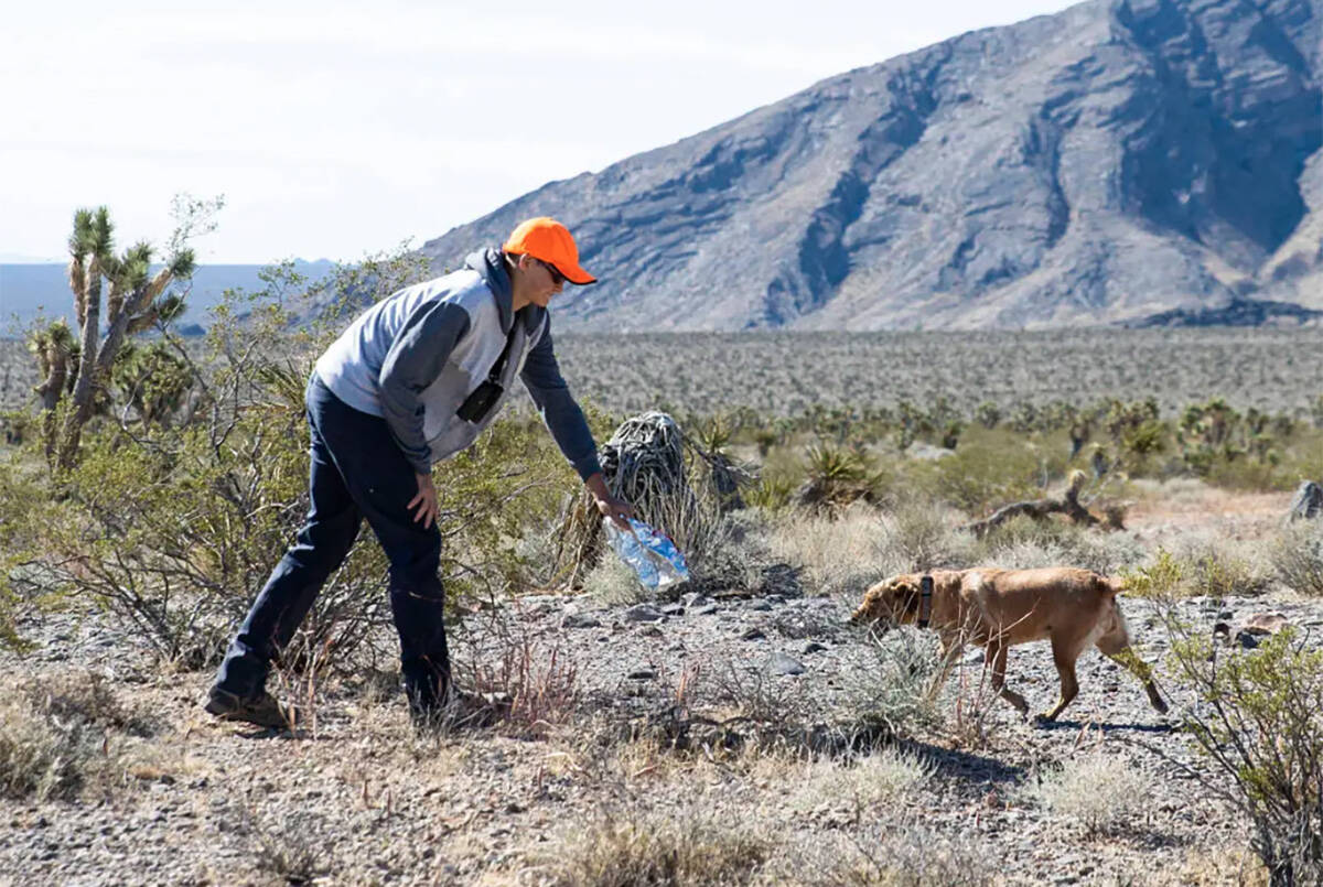 Christian Daniels, 15, retrieves stray balloons from the desert with his dog, Ruby, on Saturday ...