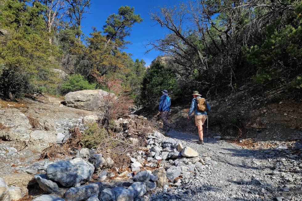 Hikers in May start along Fletcher Canyon trail, which remains open while several other popular ...