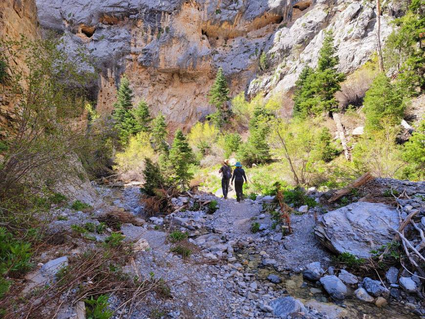 Towering cliffs and seasonal water flow are part of Fletcher Canyon trail, which remains open w ...