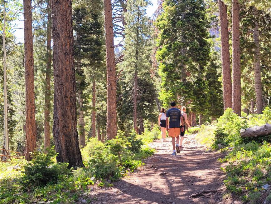 Hikers in June follow a trail leading in the direction of the South Loop Trail, which is open a ...