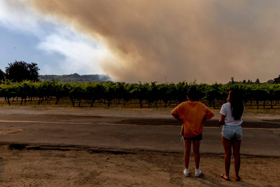 Motorists stop to watch a smoke column during the Point Fire in Healdsburg, Calif., Sunday, Jun ...