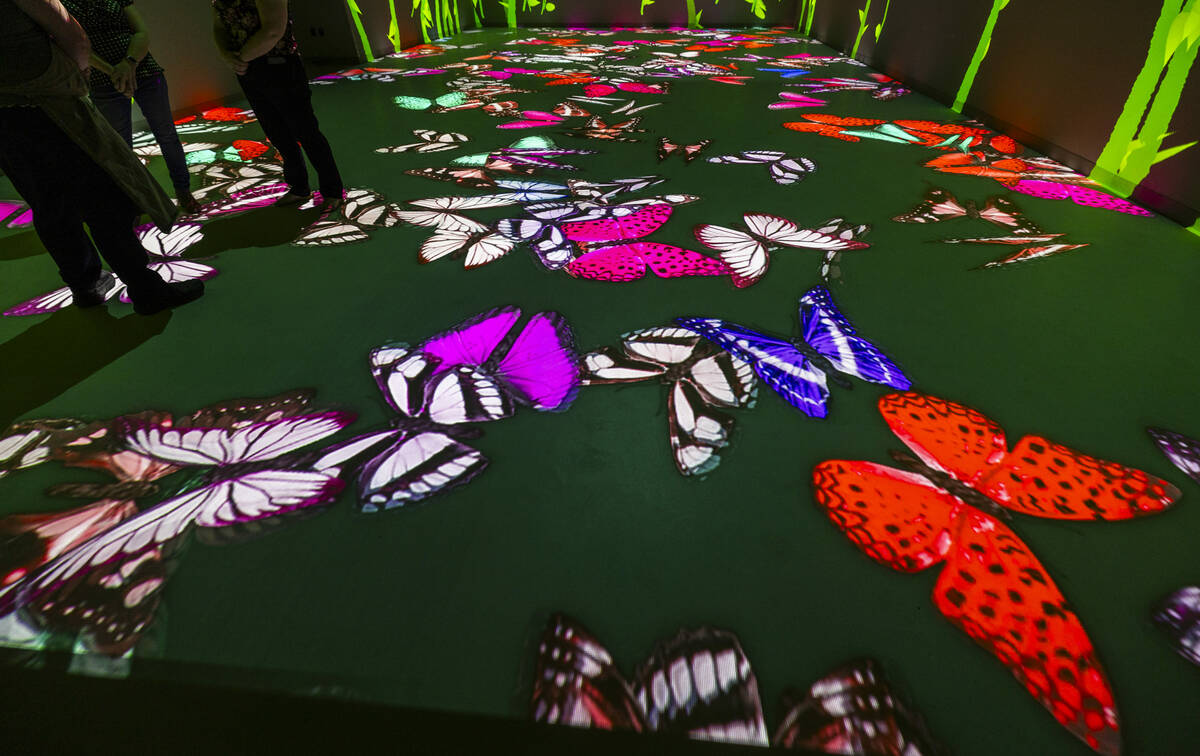 Projections of butterflies cover the floor with bamboo on the walls at Electric Playhouse, a ne ...