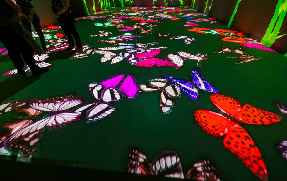 Projections of butterflies cover the floor with bamboo on the walls at Electric Playhouse, a ne ...