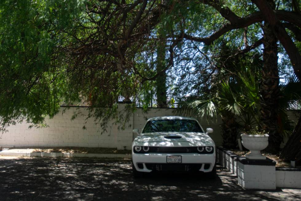 Parking spots with heavy tree coverage outside the Lexi Hotel on Thursday, June 20, 2024, in La ...
