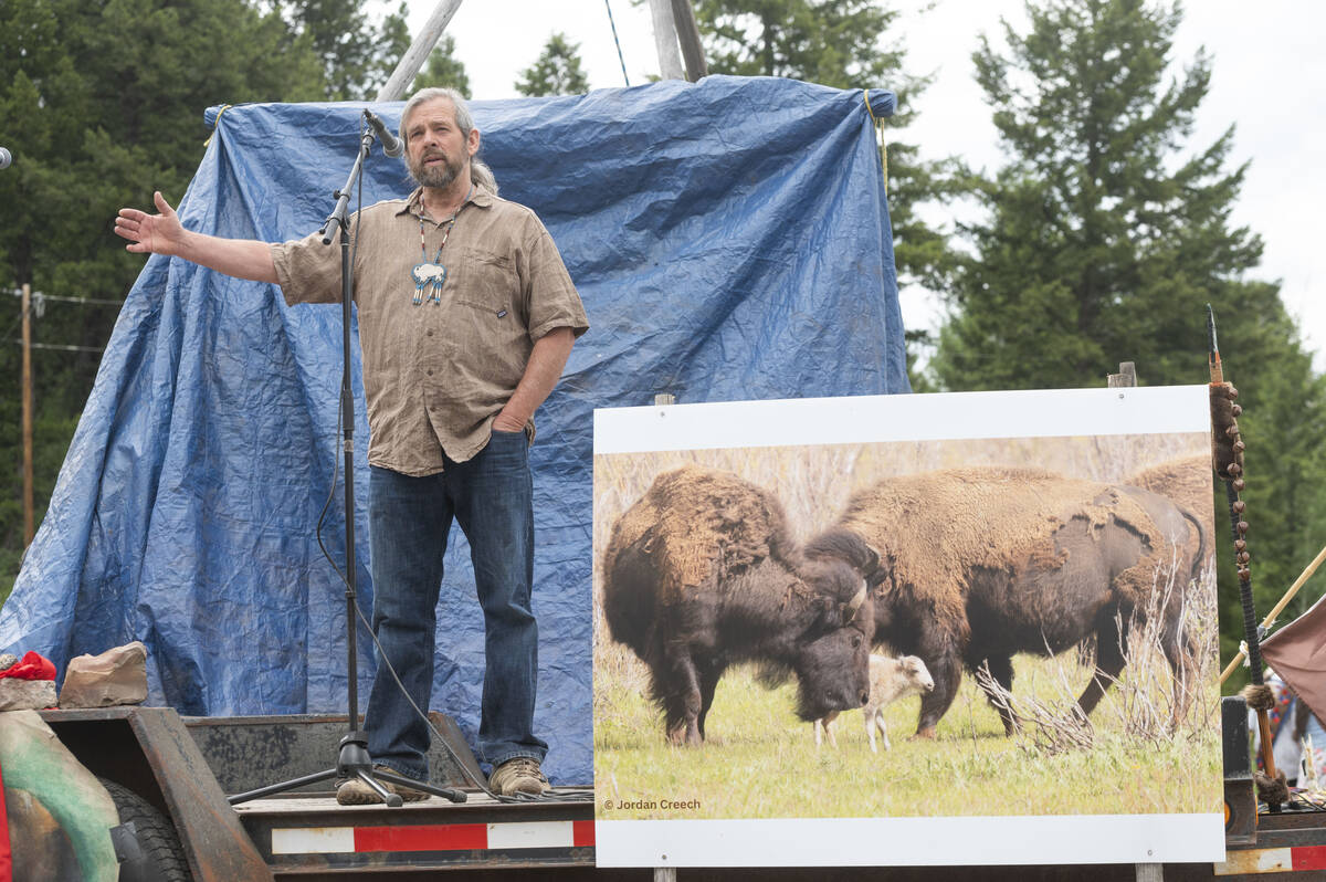 Mike Mease, co-founder of the Buffalo Field Campaign, speaks next to a photograph of a white bu ...